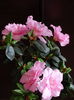 DSC09051