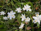 DSCN8486