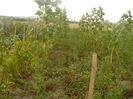P1110008