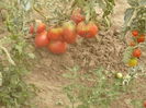 P1110095