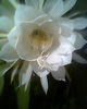 Fotogr.0025