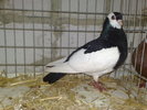 2010-01-16_14-30-24_160120102574