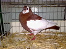 2010-01-16_14-30-34_160120102575