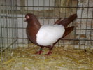 2010-01-16_14-30-44_160120102576