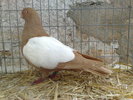 2010-01-16_14-30-52_160120102577