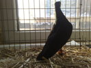 2010-01-16_14-31-04_160120102578