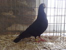 2010-01-16_14-31-12_160120102579