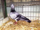 2010-01-16_14-31-28_160120102580
