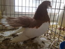 2010-01-16_14-33-50_160120102582