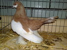 2010-01-16_14-34-00_160120102583