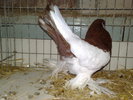 2010-01-16_14-34-22_160120102584