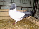 2010-01-16_14-35-16_160120102586