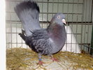 2010-01-16_14-35-54_160120102588