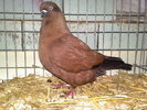 2010-01-16_14-36-16_160120102589