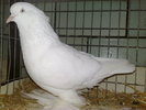 2010-01-16_14-38-12_160120102593
