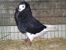 2010-01-16_14-54-42_160120102594