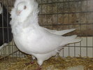 2010-01-16_14-55-16_160120102595