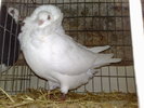 2010-01-16_14-55-24_160120102596