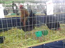 IMG_20150125_123154