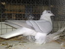 2010-01-16_15-01-40_160120102599
