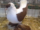 2010-01-16_15-02-14_160120102601