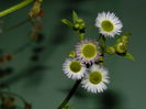 DSCN8746