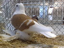 2010-01-16_15-04-20_160120102611