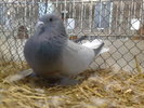 2010-01-16_15-04-32_160120102612
