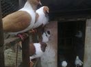 Imag 012807