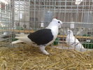 2010-01-16_15-05-06_160120102615