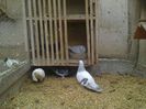 Imag 012816