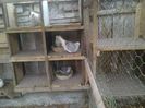 Imag 012811