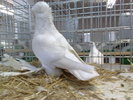 2010-01-16_15-05-16_160120102616