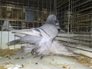 2010-01-16_15-06-24_160120102621