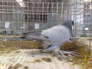 2010-01-16_15-06-36_160120102622