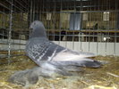 2010-01-16_15-06-48_160120102623