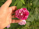 DSCN8861