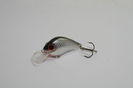 4494 - 3.2cm fat 5.2g