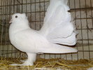 2010-01-16_15-08-56_160120102629