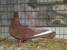 2010-01-16_15-09-12_160120102630