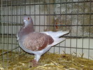 2010-01-16_15-09-20_160120102631