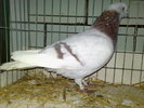 2010-01-16_15-09-44_160120102632