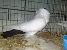 2010-01-16_15-10-12_160120102633