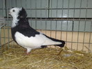 2010-01-16_15-11-22_160120102637
