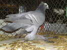 2010-01-16_15-12-10_160120102639