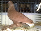 2010-01-16_15-12-58_160120102642