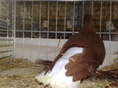 2010-01-16_15-13-20_160120102643