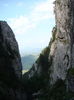 DSC09939