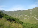DSC09950 (2)
