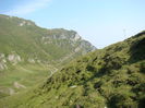 DSC09951 (2)